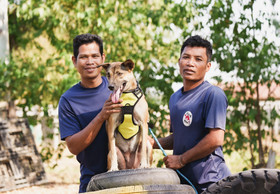 Caring for Dogs Rescued from the Dog Meat Trade