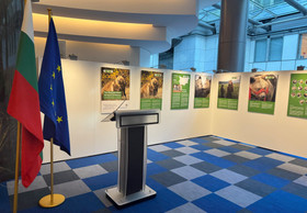 FOUR PAWS opens Photo Exhibition at European Parliament